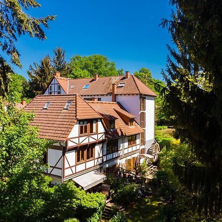 Einliegerwohnung In Einer Muehle Vor Den Toren Frankfurts, Ideal Fuer Messegaeste Oder Stop Over Драйайх Экстерьер фото