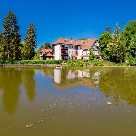 Einliegerwohnung In Einer Muehle Vor Den Toren Frankfurts, Ideal Fuer Messegaeste Oder Stop Over Драйайх Экстерьер фото