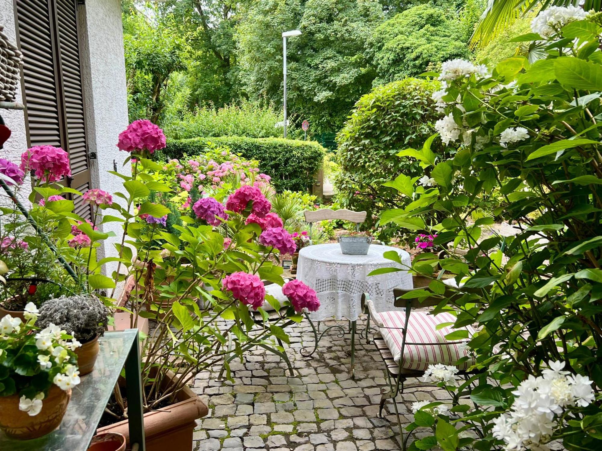 Einliegerwohnung In Einer Muehle Vor Den Toren Frankfurts, Ideal Fuer Messegaeste Oder Stop Over Драйайх Экстерьер фото