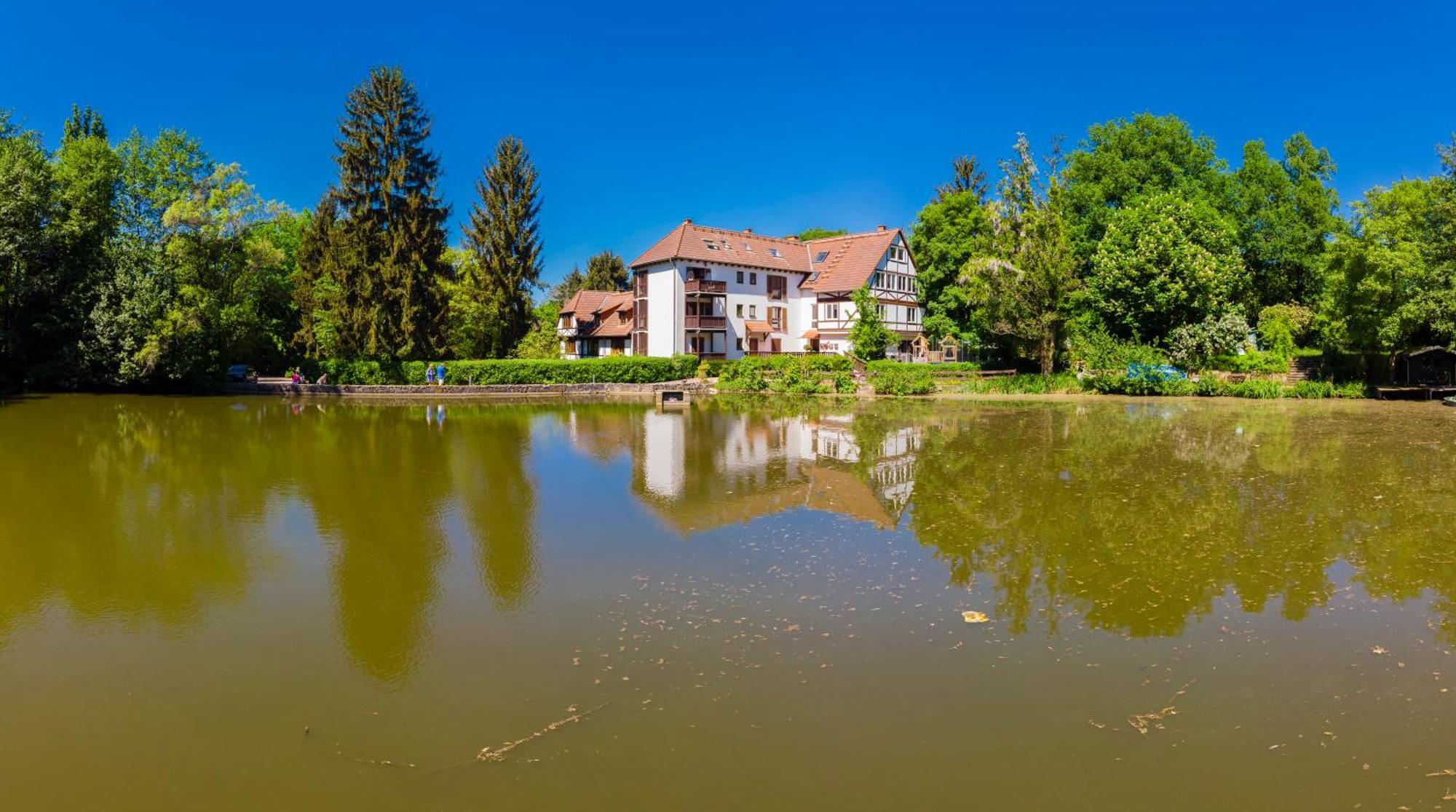Einliegerwohnung In Einer Muehle Vor Den Toren Frankfurts, Ideal Fuer Messegaeste Oder Stop Over Драйайх Экстерьер фото